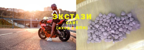 СК Дмитров