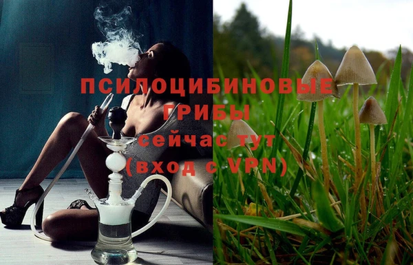 дживик Дмитровск