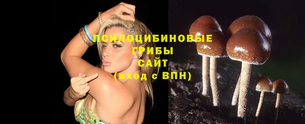 дживик Дмитровск