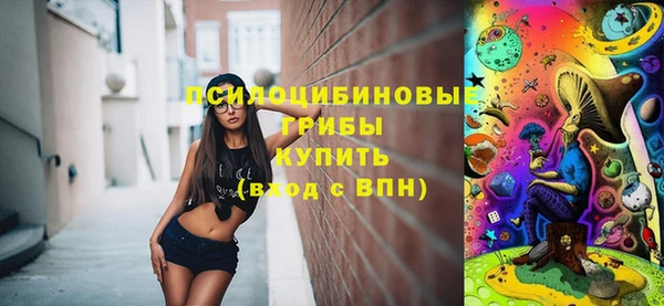 mdpv Дмитриев