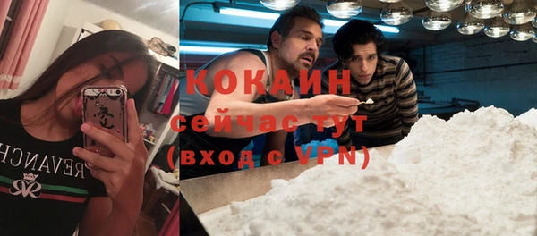 mdpv Дмитриев