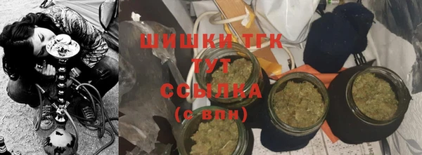 СК Дмитров