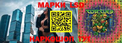 гашик Лесосибирск