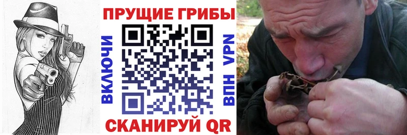 Псилоцибиновые грибы MAGIC MUSHROOMS  Камень-на-Оби 