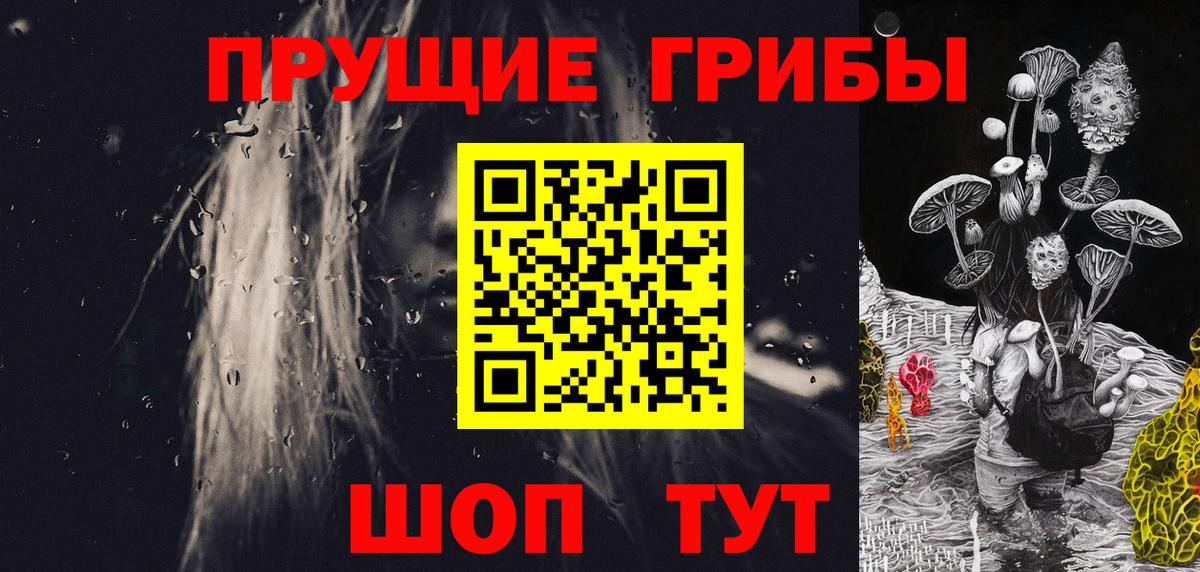 Камень-на-Оби  Псилоцибиновые грибы GOLDEN TEACHER  Вход с VPN 